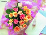 HẠNH PHÚC LÀ QUÁ TRÌNH, KHÔNG PHẢI LÀ ĐIỂM ĐẾN